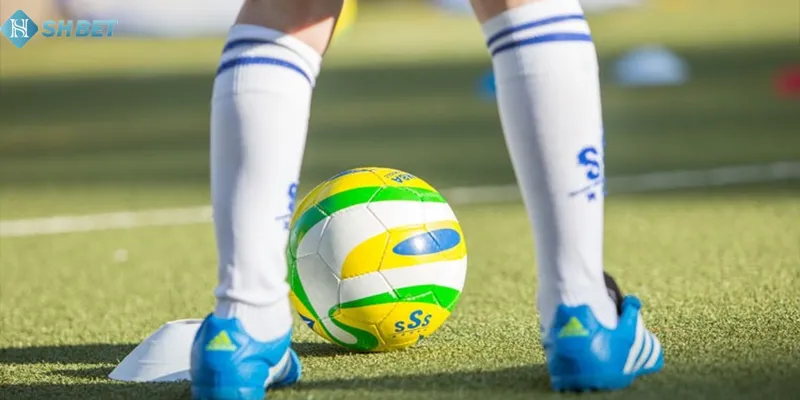 Cá cược châu á được nhiều cược thủ lựa chọn