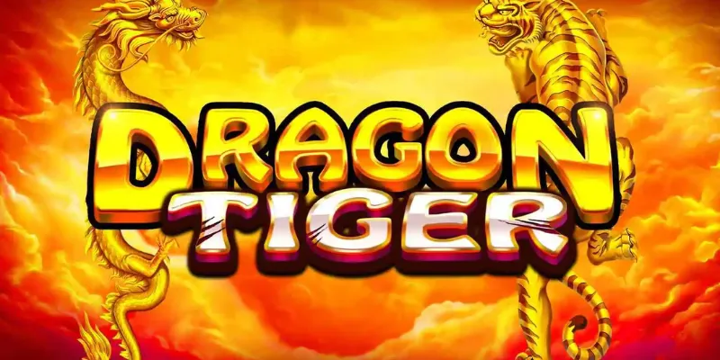 Bí quyết chơi Dragon Tiger nào giúp người mới tăng tỷ lệ thắng?